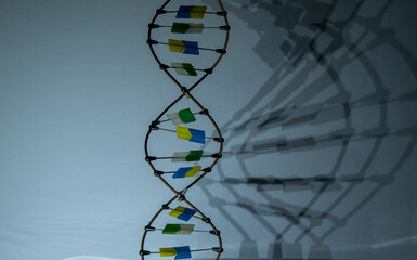 The sculpture of the DNA molecule spins and casts a shadow. Video in the dark. Deoxyribonucleic...