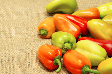 Multi-colored bell pepper on a rough rustic fabric