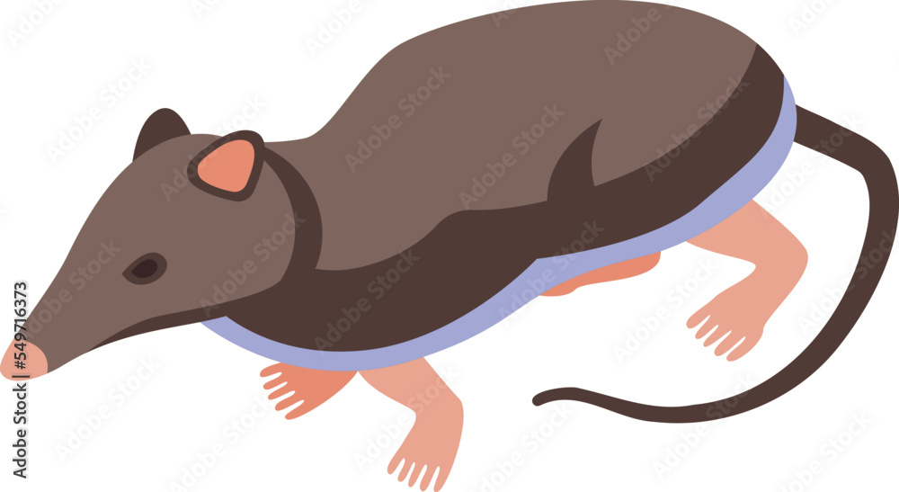 Wall mural pet shrew icon isometric vector. african mammal. tail mouse