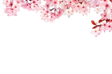 Fotobehang Decoration light pink cherry blossom flowers frame with white background  © Pencile Art Design