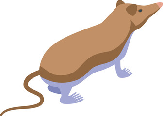 Shrew mammal icon isometric vector. Mouse animal. Nature farm
