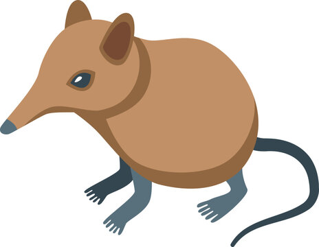 African shrew icon isometric vector. Mammal animal. Mouse picture