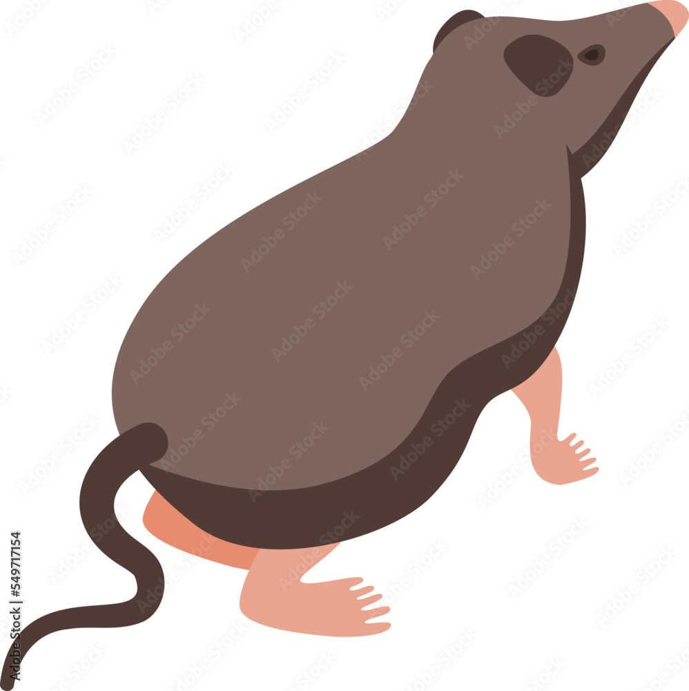 Wall mural shrew animal icon isometric vector. african mammal. nature mouse