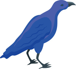 Blue crow icon isometric vector. Raven bird. Fly nature