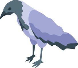 White black crow icon isometric vector. Raven bird. Nature animal