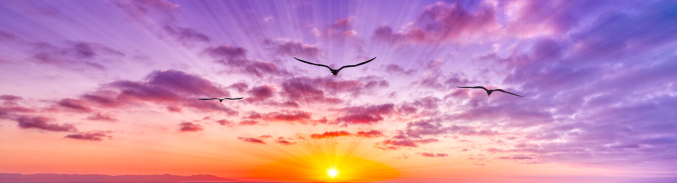 Inspirational Banner Sunset Birds Sun Rays Surreal Colorful Banner