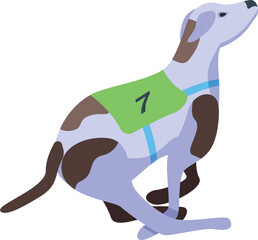 Race greyhound icon isometric vector. Animal pet. Canine racing