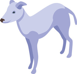 White greyhound icon isometric vector. Animal pet. Mammal canine