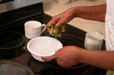 Woman washing herbs to make tea