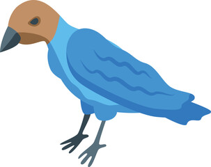 Canada bird icon isometric vector. Nature animal. Robin blue