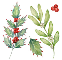 Watercolor illustrations set with Christmas plants and berries. Hand-painted watercolor illustrations set with a holly branch and red holly berries, a holly leaf, and a mistletoe branch.