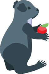 Obraz premium Koala eat apple icon isometric vector. Cute bear. Adorable animal