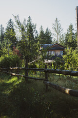gazebo in the forest