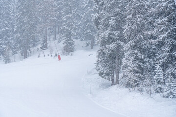 Winter snow storm at a ski resort. Grey and overcast day, with a snow covered trees.