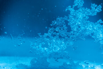 Fototapeta na wymiar 窓ガラスに付着した雪