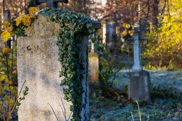old grave yard haunted and decaying