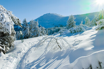 Winter landscape of Vitosha Mountain, Bulgaria