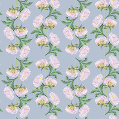 Watercolor seamless pattern with hand drawn delicate pink peony flowers, buds and leaves. Isolated on color background. For invitations, wedding, love or greeting cards, paper, print, textile