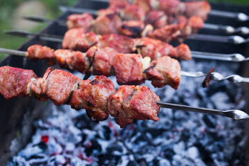 Juicy cuts of meat are grilled on grill. Outdoor recreation concept