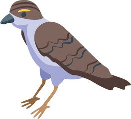 Small sparrow icon isometric vector. House bird. Male fly