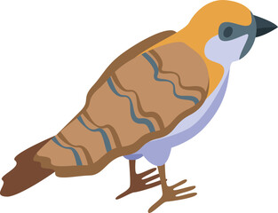 Front sparrow icon isometric vector. Bird house. Small wild