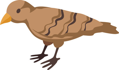 City sparrow icon isometric vector. Bird small. Wing beautiful