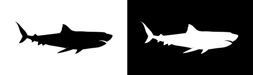 Shark icon. Wild shark black and white silhouette isolated on white and black background. 