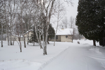 Winter landscape in Michigan