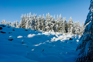 Fototapeta premium Winter landscape of Vitosha Mountain, Bulgaria