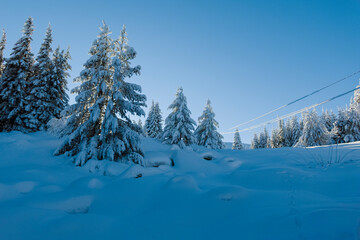 Winter landscape of Vitosha Mountain, Bulgaria