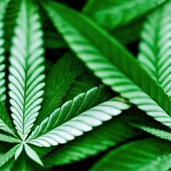 close up of green cannabis marijuana leaf seamless pattern texture
