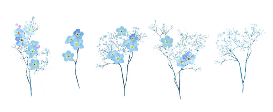 Forget me nots illustration isolated on white, png format. Aesthetic flowers set.