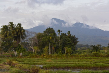clouds over the mountains