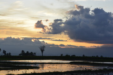 sunset over the river