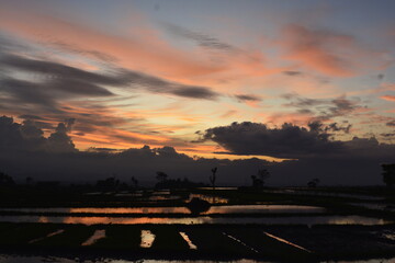 sunset over the city