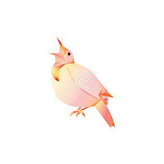 Atlantic Canary Blend Cover Image Icon Mark Illustration