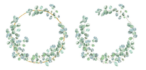 Eucalyptus frames, wreathes isolated on white. Beautiful, aesthetic png plant illustration.