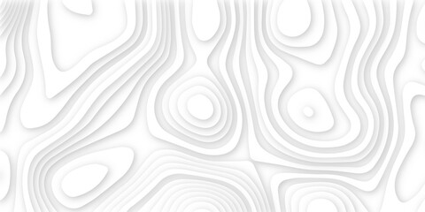 Abstract white 3d papercut topography relief. Abstract papercut and multi layer cutout geometric pattern on vector, Abstract soft white background with waves, textured Papercut.	