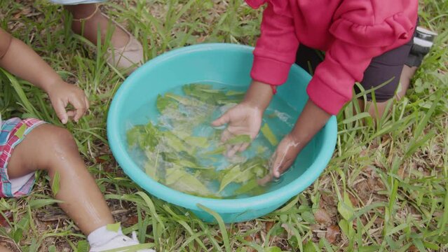Children playing in water with herbs