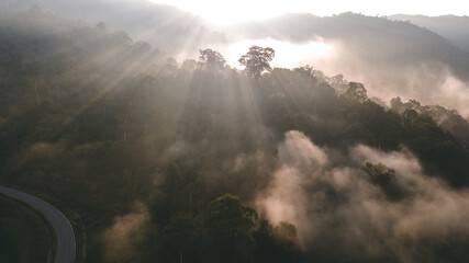 Aerial view of mist, blanket cloud and fog hanging over a lush tropical rainforest in the morning.