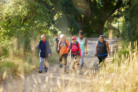 Nature, walking and senior group hiking in forest for exercise, health and wellness with cardio outdoor workout. Fitness, healthy and elderly friends or retirement club trekking on path in the woods