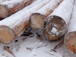 Close up stack of wood with snow