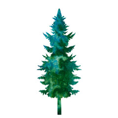 silhouette spruce watercolor green design vector