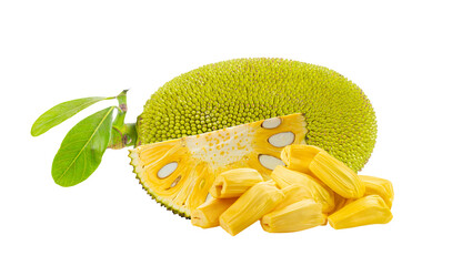 Jackfruit isolated on transparent png