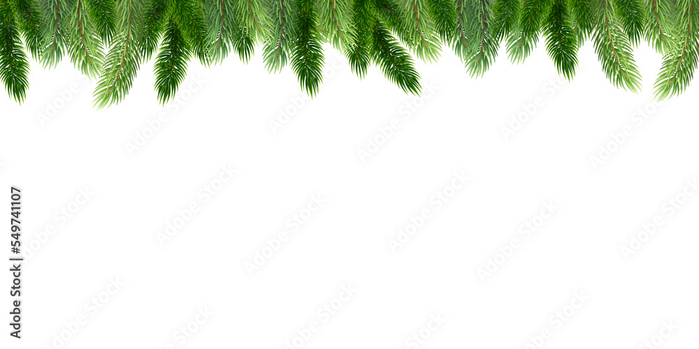 Wall mural Fir leaves with transparent background