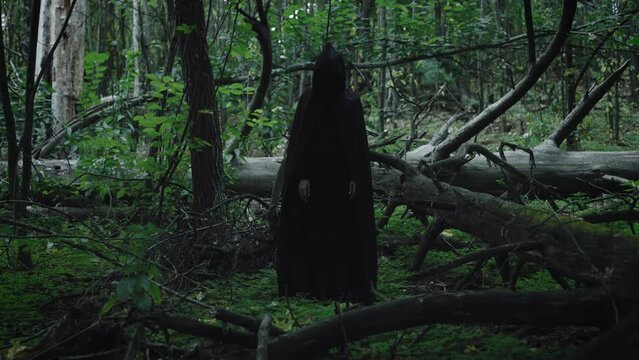 A mysterious black figure in a tunic and hood stands in the middle of a dark forest. Witch and evil in the forest.