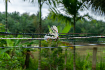 closeup of white clothesline. white rope knot with blurry background. trust concept
