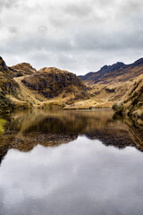 Vertical photo of mountains and plants reflection on a lake in Cajas National Park in the Andean highlands of Ecuador.