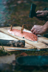 Traditional Finnish fish dish, Smoked salmon or trout on a wooden plank prepared in a special way in fireplace.