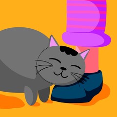 Gray cat leans on a person's shoe while smiling